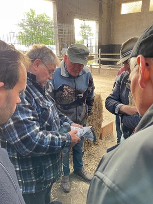Jungtierbesprechung mit Ruben Schreiter und Lutz Küttner
