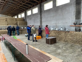 Jungtierbesprechung mit Ruben Schreiter und Lutz Küttner